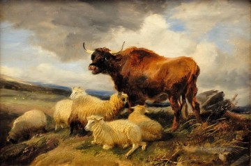 Rinder und Schaf auf der Wiese Ölgemälde